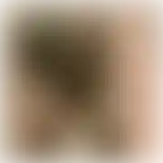 Aria6969