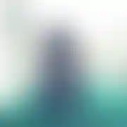 Whypride1