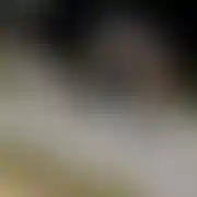 20Seksoholik