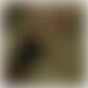 Syllwia - frau, 26 Jahre, Warszawa