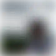 WkurwionyAleMily