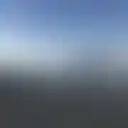 TuiTeraz77