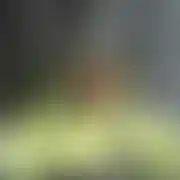 Goral93 - mann, 33 Jahre, Barczewo