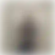 DlaPanParNawetDzisiaj