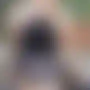 Pupilek22 - žena, 23 let, Lębork