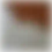 Piterek8282