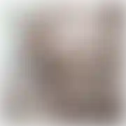 Dako77