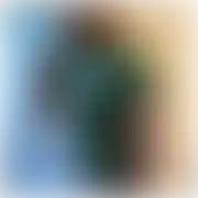 Damianorrrrr