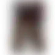 Paulanylon1991