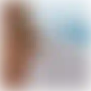Alexoss