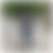 Bartek45s