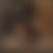 RealnyBdg9x
