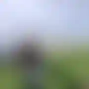 MrZez