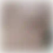 Bitop12