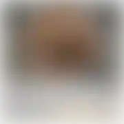 Johny019