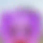 Niewiempoco12345
