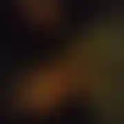 Gooodluck1