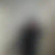 Fajnymisiowaty