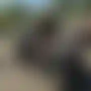 Tszm