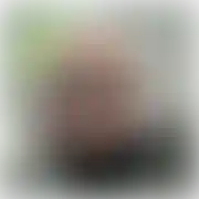 Krk86