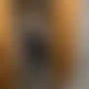 Doranajebania