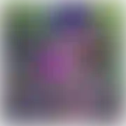 SluttySuzi - kobieta, 18 lat, Gdynia