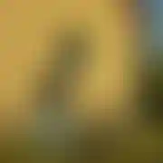 Arti2307