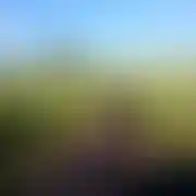 Ensue