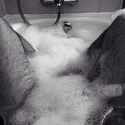 Raczek11 - мужчина, 39 лет, Szczecin