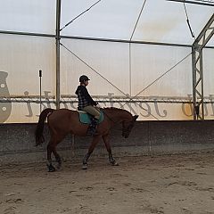 Photo in gallery