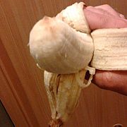 Pawelsport12 - мужчина, 43 лет, Warszawa