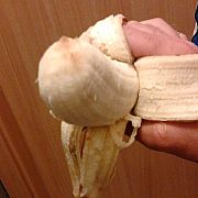 Pawelsport12 - мужчина, 43 лет, Warszawa