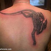 ChetnyDlaNiej23 - mężczyzna, 35 lat, Katowice