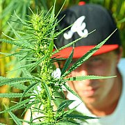 DajBuziaka - чоловік, 37 років, Starachowice