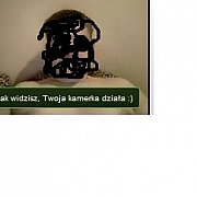 Hazlow - mężczyzna, 42 lat, Warszawa