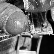 Marcho4007 - muž, 57 let, Słupsk