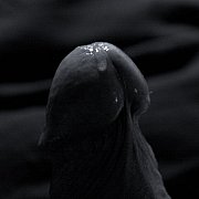 Lanz - mężczyzna, 61 lat, Katowice