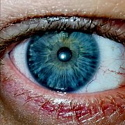 Blokers - mann, 34 Jahre, Głogów