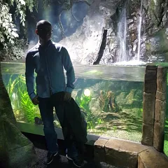 Photo in gallery