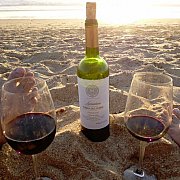 Parkap - pár (žena 43 let, muž 38 let), Potsdam