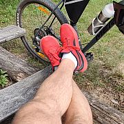 Bear46 - mann, 61 Jahre, Poznań