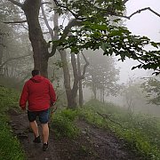 Prymusek - muž, 39 let, Bielsko-Biała