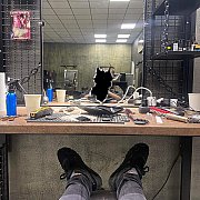 ROTFLmpeg - man, 28 years, Łódź