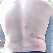Katowiczanin87 - mężczyzna, 37 lat, Katowice