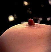 Marichuana - жінка, 60 років, Heidenheim An Der Brenz