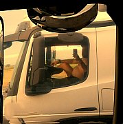 Polskibear - muž, 41 let, Chaumont