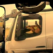 Polskibear