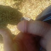 Maras123456789 - man, 31 years, Krotoszyn