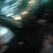 Duzy20 - mann, 35 Jahre, Alphen Aan Den Rijn