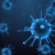 Sftester - pár (žena A transsexuálů), Poznań